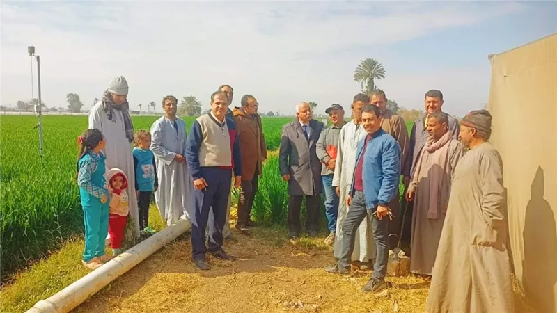 زراعة المنيا تنظم يوما حقليا للنهوض بمحصول القمح