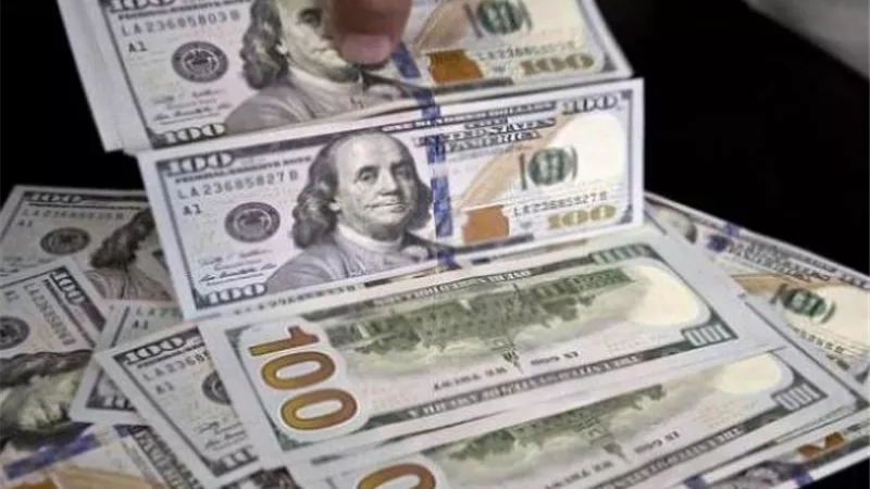 خبير أمن معلومات بنكية: الـ100 والـ50 دولار الفئات الأكثر تزويرًا بالسوق الموازي