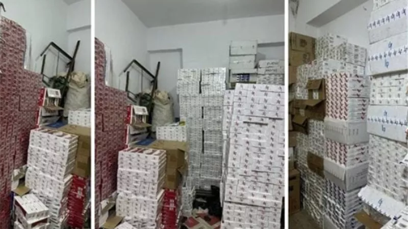 بالتفاصيل.. ضبط 55 ألف عبوة سجائر مهربة جمركيًا ومجهولة المصدر