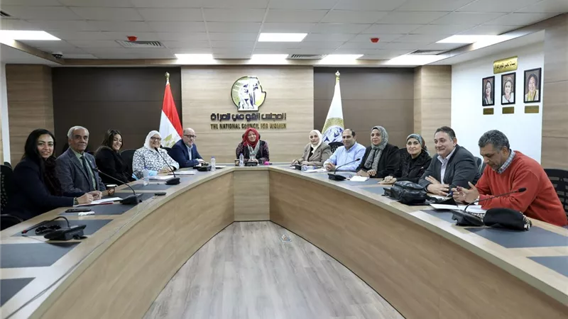 لجنة المحافظات بالقومى للمرأة تستعرض حصاد المجلس لعام ٢٠٢٣