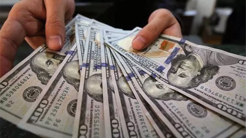 خالد أبو بكر يحذر من منصات تداول الدولار في السوق السوداء