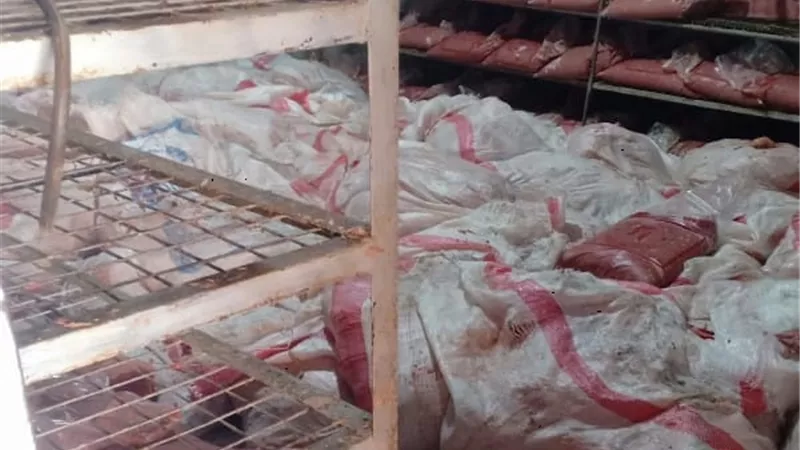 ضبط 3 طن دواجن ولحوم مفرومة غير صالحة للاستهلاك الادمي بالخانكة