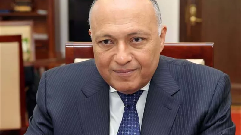 مصر تدعو المجتمع الدولي لإطلاق عملية سلام جادة