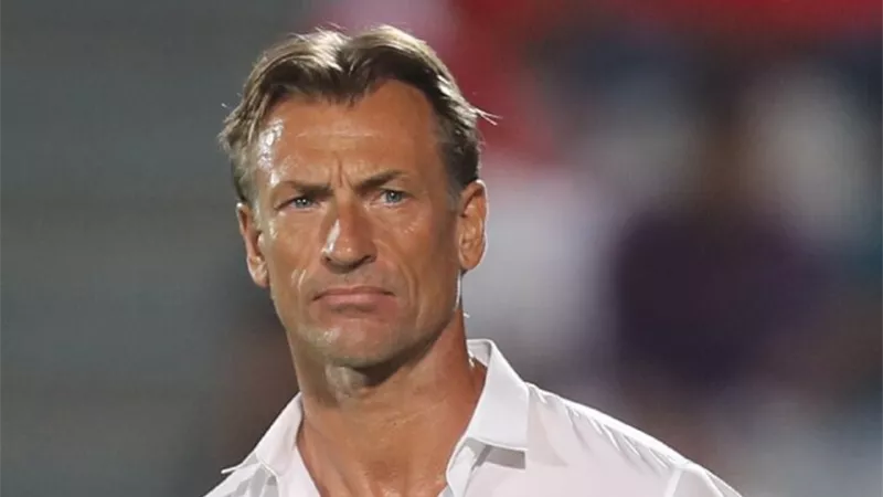 هل يقترب هيرفي رينارد من تدريب منتخب مصر؟ مصارد تكشف