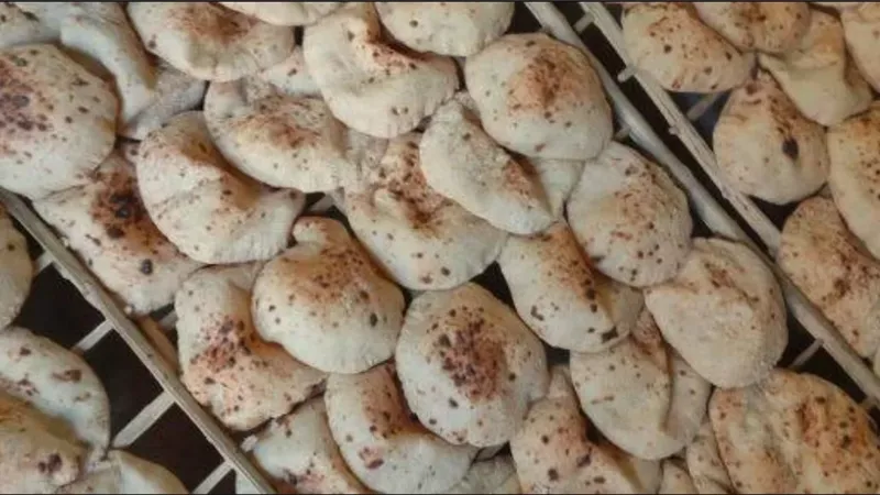 توفير رغيف خبز مدعم لغير حاملى البطاقات التموينية .. شعبة المخابز تكشف