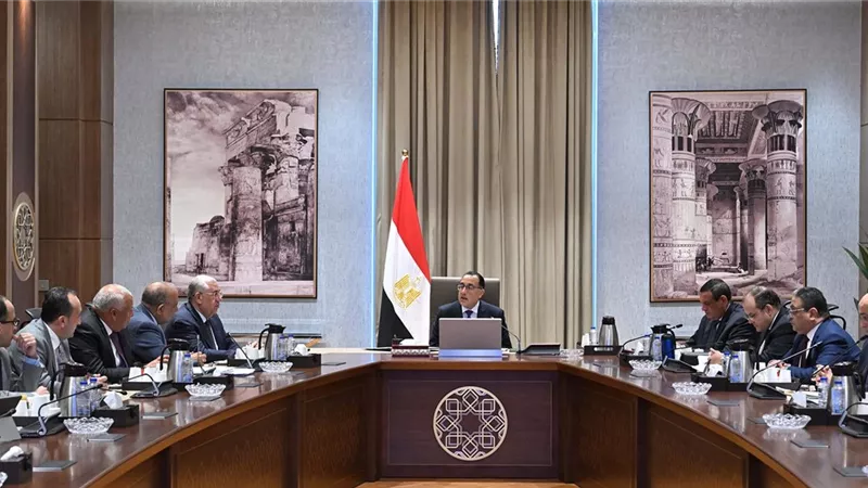 رئيس الوزراء يوجه بضرورة وضع خطة لإنتاج 100 طن من الحرير سنوياً