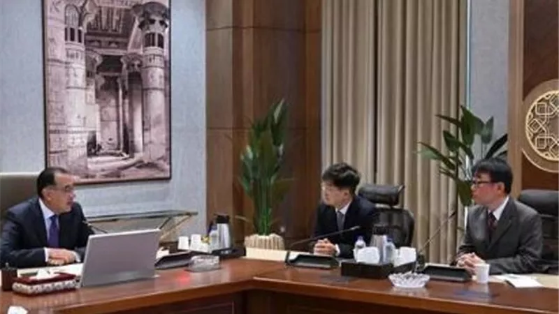 مدبولي يلتقي الرئيس التنفيذي لـ