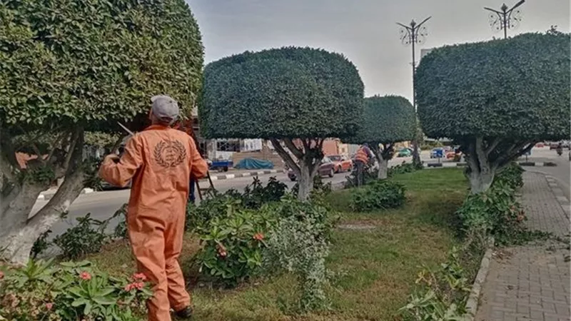 تطوير وتجميل ميادين وحدائق الإسماعيلية