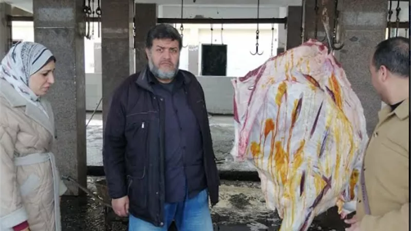 محافظ كفرالشيخ: إعدام 90كم لحوم غير صالحة للإستهلاك