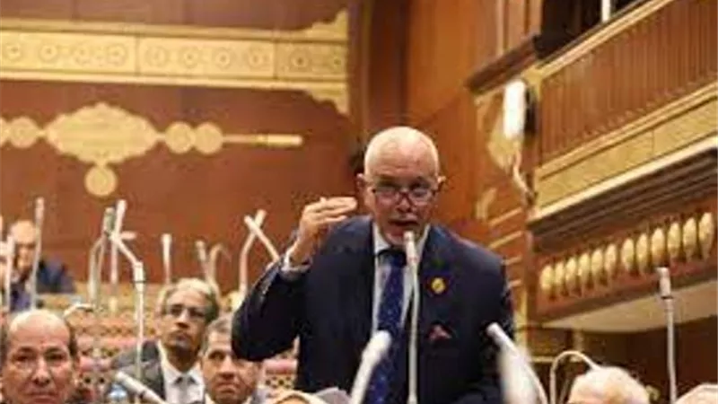 عضو العليا للوفد عن قرارات الرئيس: المواطن البسيط سيظل أولوية لدى الرئيس