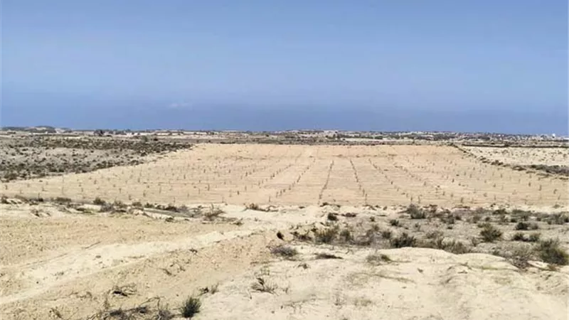 الاستثمار في الأراضي الصحراوية.. يساهم في مسيرة التنمية