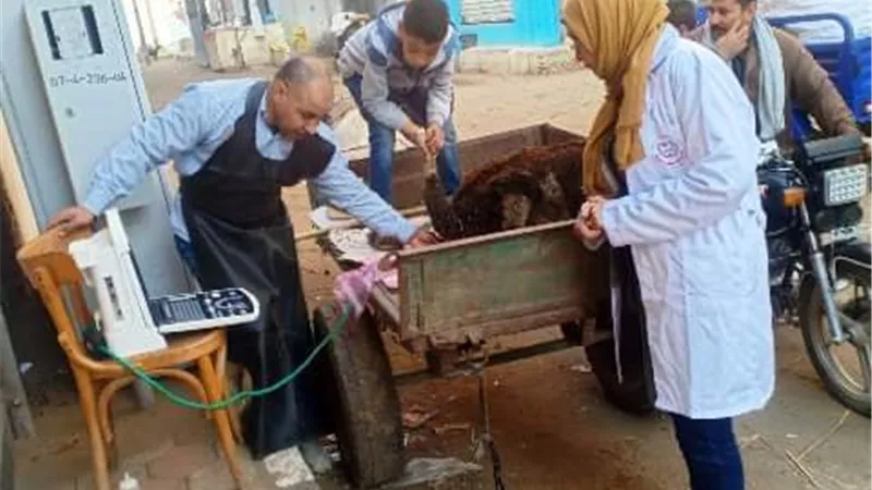 التلقيح الاصطناعى لـ٦آلاف و٥٠٠ رأس ماشية بالشرقية