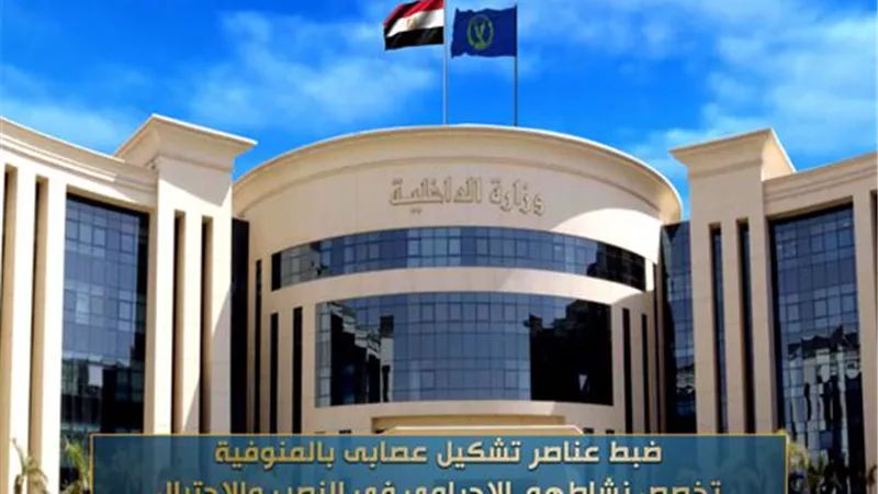 ضبط تشكيل عصابي بالمنوفية استولى على 99 مليون جنيه من ضحاياه