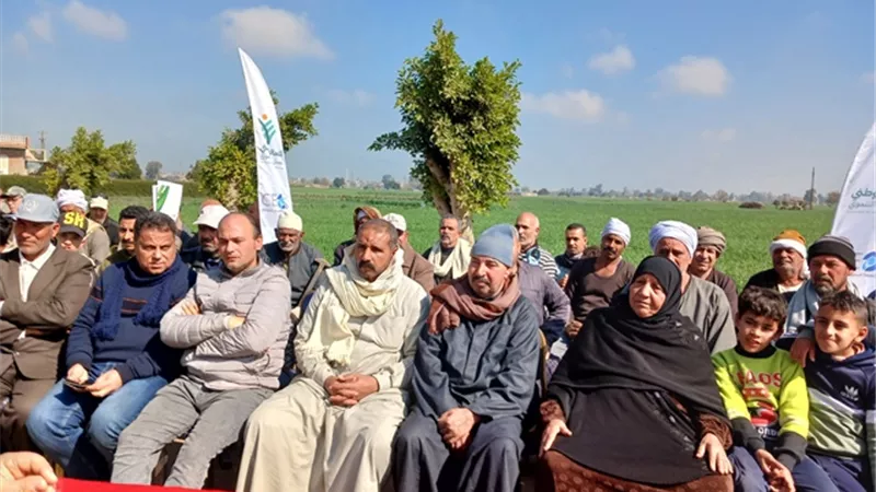 المعاملات الأولية لمحصول القمح والنهوض به .. فعالية للتحالف الوطنى بالشرقية