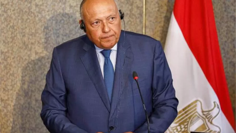 شكري لنظيرته البلغارية: نجدد مطالبتنا بوقف إطلاق النار الفوري في غزة