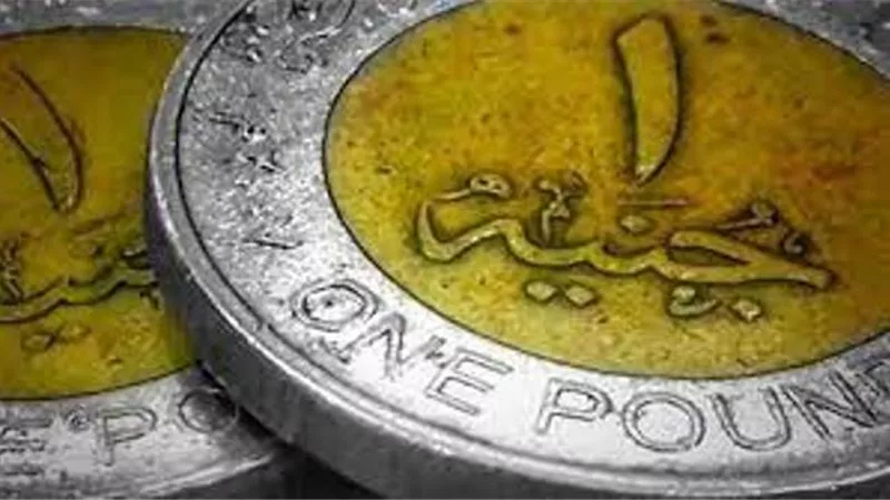 كل ما تريد معرفته عن الجنيه الإلكتروني بديل الورقي.. خبير مصرفي يوضح .. فيديو