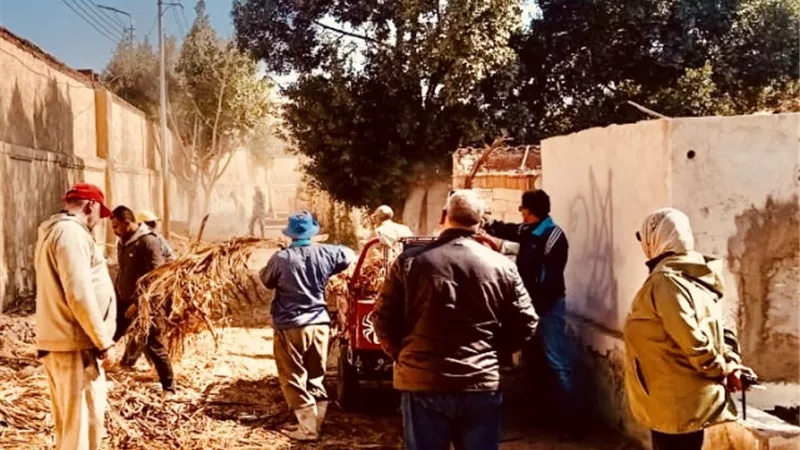 تطهير مقابر الاسماعيلية من المخلفات وجريد النخل