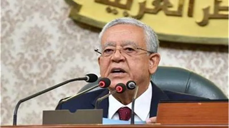 جبالى يوجه الشكر للرئيس لإطلاق استراتيجية حقوق الإنسان