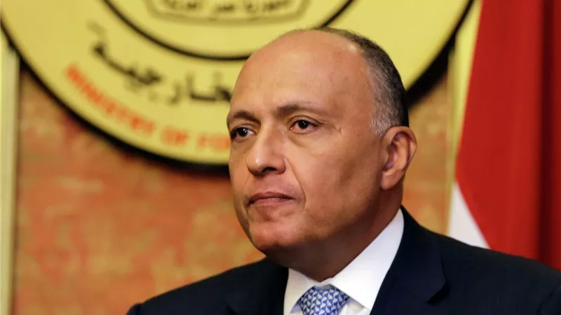 شكري: أي زيادة للعمليات العسكرية بغزة سوف يكون لها آثار وخيمة