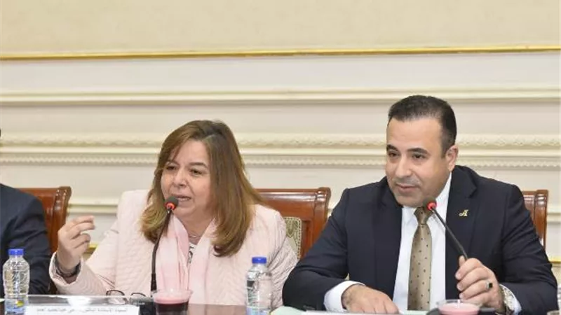 رئيس اتصالات البرلمان : دعم الدولة للإسكان الاجتماعى يؤكد استراتيجية السيسى بوضع المواطن فوق كل اعتبار