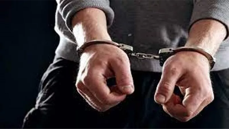 القبض على مندوب مبيعات استولى على أدوية بـ 28 مليون في الدقهلية