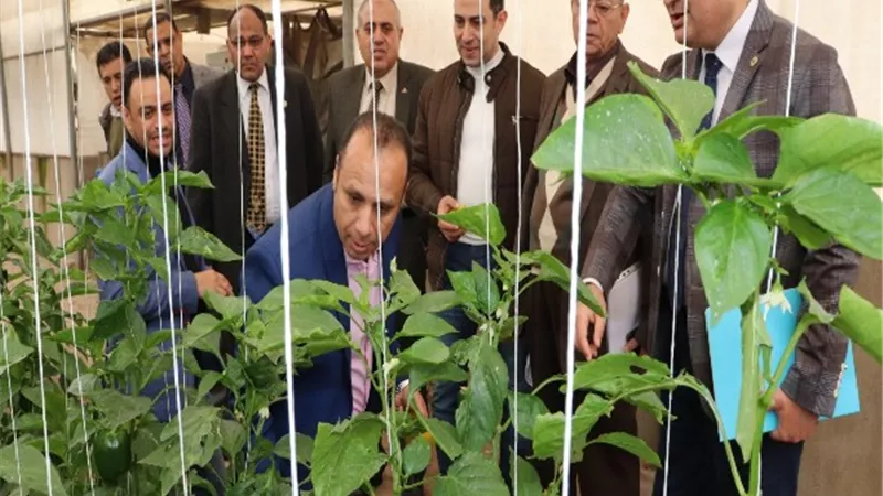 فرق التقييم لمسابقة الجامعة الذكية الخضراء تواصل زيارة كليات جامعة بنها