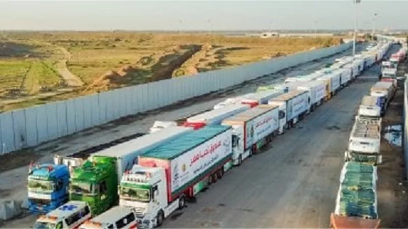 الأوقاف تقدم 100 طن سلع غذائية لأهالينا في غزة قبل رمضان