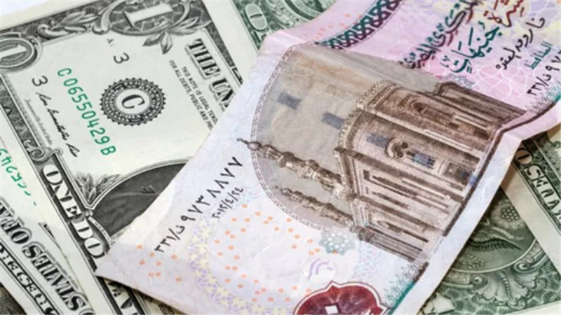 استقرار أسعار صرف الدولار مقابل الجنيه المصري بداية تعاملات اليوم