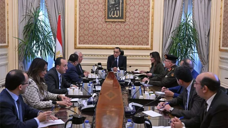 مدبولي: 24 مليون طن أعلاف سنويا للدواجن والمواشي والأسماك
