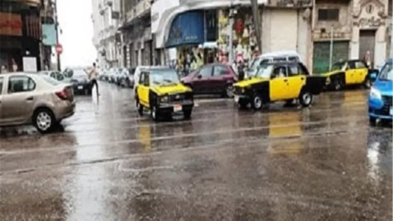 أبرزهم الاسكندرية والدقهلية .. أمطار غزيرة ورعدية على 7 محافظات تعرف عليهم