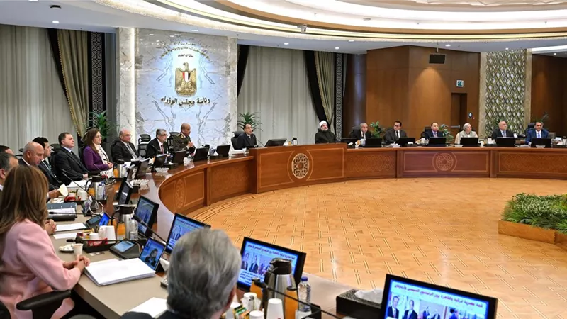 12 ألف جنيهاً.. مجلس الوزراء يحدد سعر توريد القطن لموسم 2024 /2025