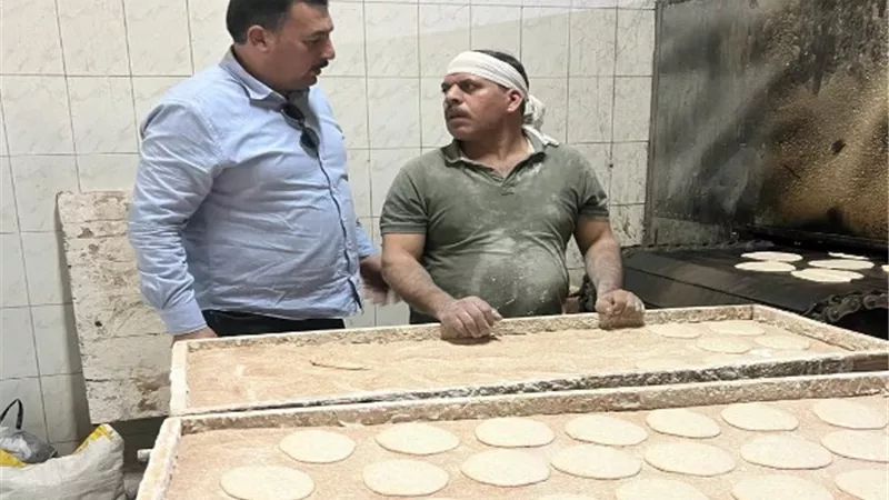 أغذية القليوبية تحرر 14 محضر مخالفة خلال حملة على المخابز البلدية