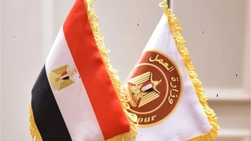 وزارة العمل تُعلن عن توفير 4670 وظيفة خالية في 59 شركة خاصة