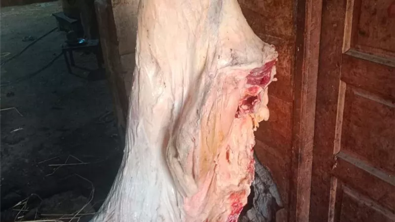 حملة تفتيشية على أسواق بيع اللحوم بالمنيا
