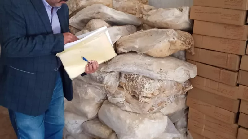 ضبط نصف طن لحوم غير صالحة وطن أجبان فاسدة بالمنيا