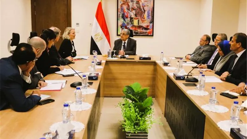 شاكر: توطين الصناعة المرتبطة بالطاقة المتجددة والهيدروجين الأخضر