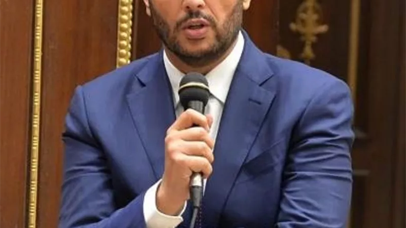 رئيس لجنة الصناعة بالشيوخ: مصر لديها ثروة صناعية كبرى لابد من استغلالها