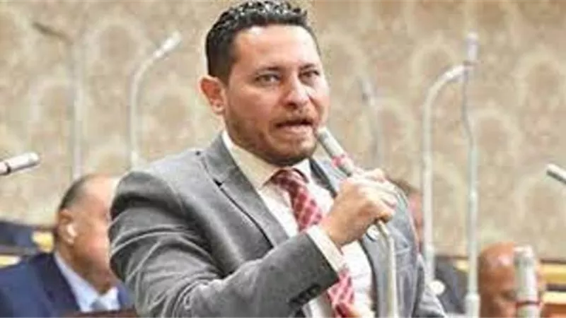عضو التنسيقية عن مذكرة مصر امام العدل الدولية : ندرك جيدا خطورة ما تفعله دولة الاحتلال من جرائم بحق الفلسطينيين