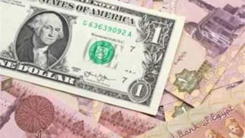 استقرار صرف الدولار مقابل الجنيه المصري في بداية التعاملات اليوم