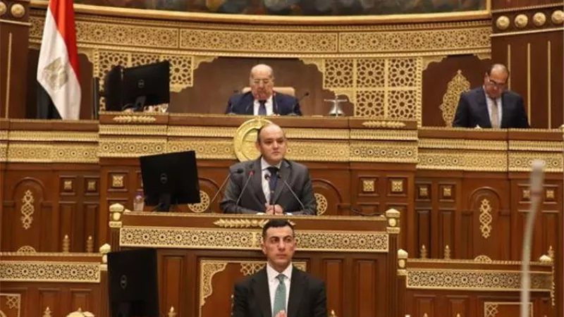 وزير التجارة والصناعة يستعرض أمام مجلس الشيوخ خطة ورؤية الوزارة لتحقيق التنمية الصناعية