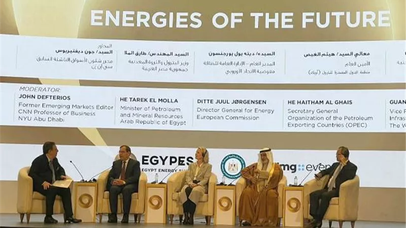 الملا: توافر التمويل اللازم لجهود التحول الطاقى يضمن انتقال طاقوى سريع