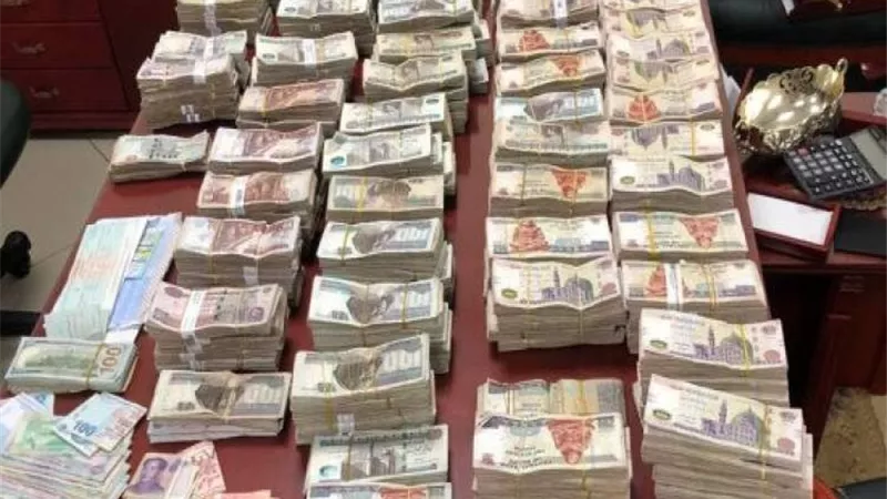 ضبط شخصين غسلوا 60 مليون جنيه من النصب والأحتيال على المواطنين