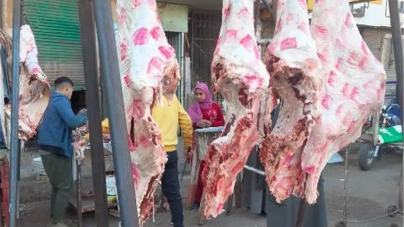 تموين المنيا يضبط ٨٠ مخالفة خلال حملات على المخابز والأسواق