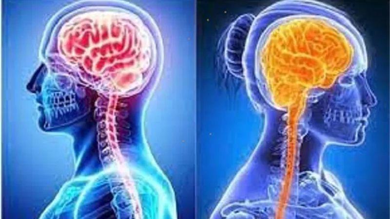 هل تكوين دماغ الرجال يختلف عن النساء ؟ دراسة تكشف مفاجأة