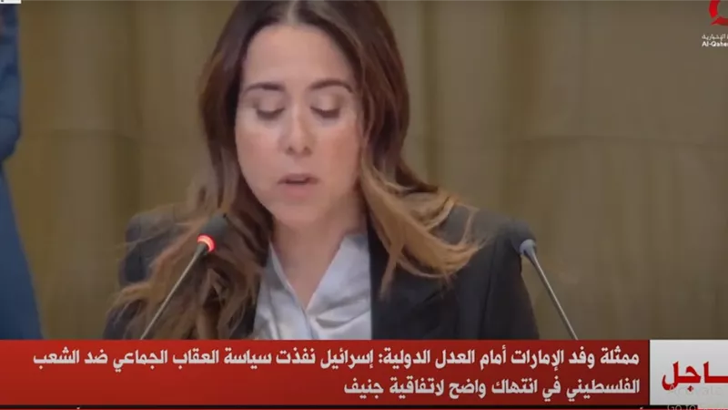 وفد الإمارات للمحكمة: إسرائيل لابد أن تلتزم بقرارات مجلس الأمن