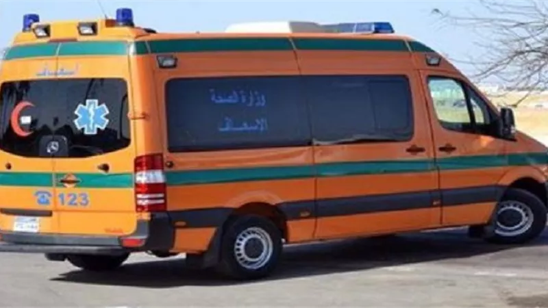 مصرع وإصابة 17 والبحث عن آخرين فى انقلاب ميكروباصين