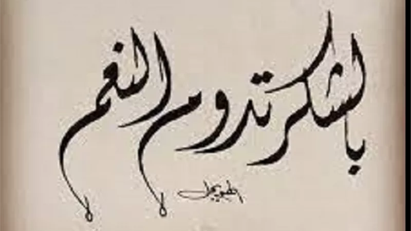 يزيدها بركة ..ذكر مأثور عن النبىﷺ فى شكر النعم