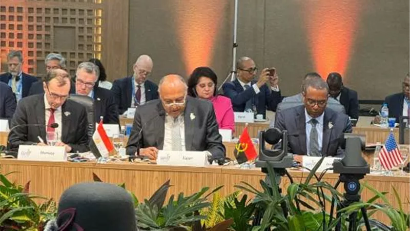 شكري يشارك في جلسة مجموعة العشرين في التعامل مع التوترات الدولية