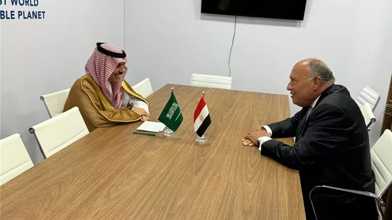وزير الخارجية يلتقي نظيره السعودي على هامش اجتماعات مجموعة العشرين
