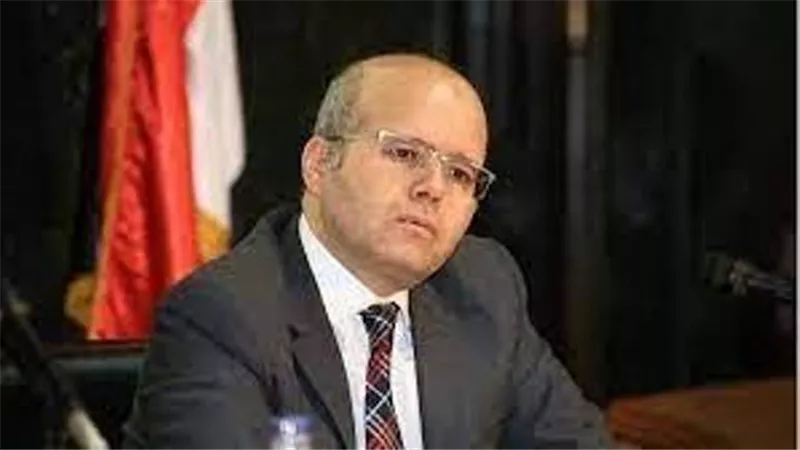 عضو أمناء الحوار الوطنى : لدينا قدرة على جذب الاستثمارات الكبرى والمؤسسات الدولية لديها ثقة فى اقتصادنا